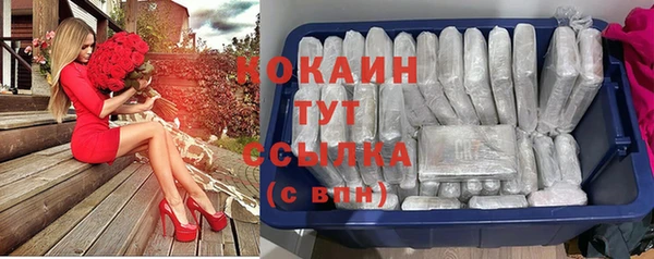 ГАЛЛЮЦИНОГЕННЫЕ ГРИБЫ Нея