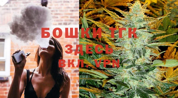 ГАЛЛЮЦИНОГЕННЫЕ ГРИБЫ Нея