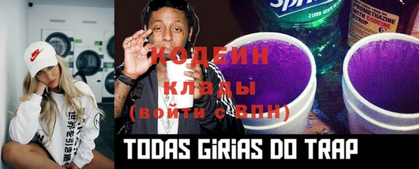 ГАЛЛЮЦИНОГЕННЫЕ ГРИБЫ Нея