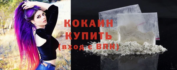 ГАЛЛЮЦИНОГЕННЫЕ ГРИБЫ Нея